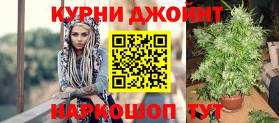 сатива Ирбит