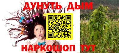 сатива Ирбит
